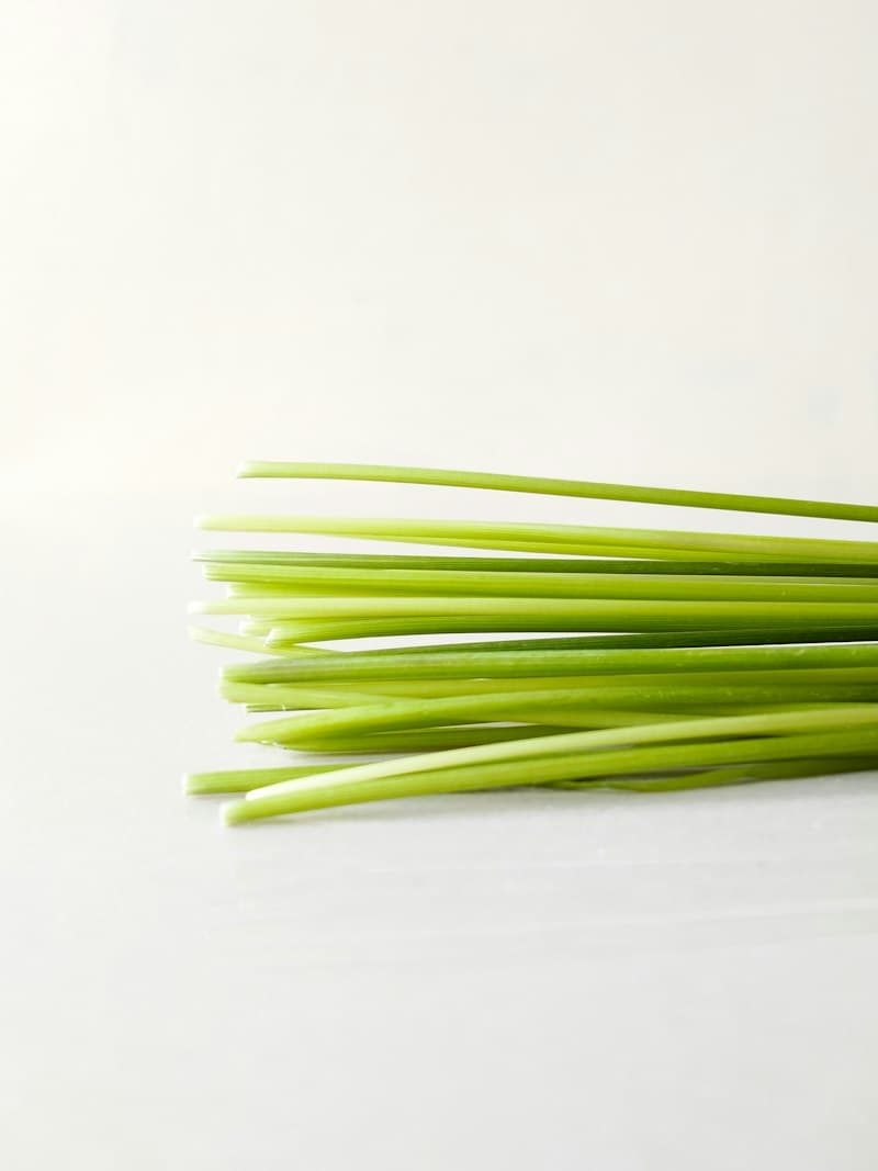 부추 사진